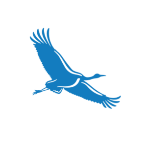 personalia c ilm BERLICO 300